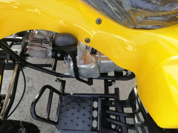 11111111111111111 2.jpg