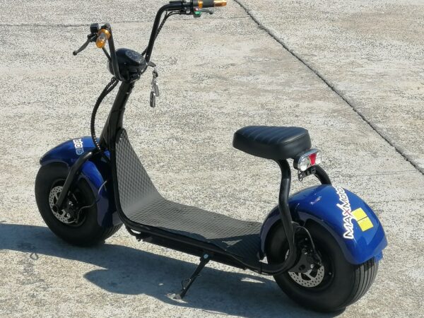 119656168 2402283686745024 6833875470746608094 n.jpg