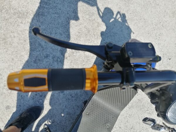 119704490 320880552337157 8083567830074909683 n.jpg