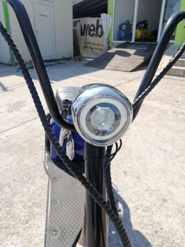 119739166 1203958493302538 5599250937459029367 n.jpg