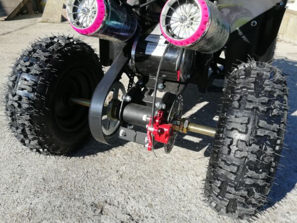 123725212 1540625969479779 33661720772331773 n.jpg