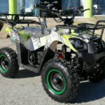 123976619 995565057615090 954235328295486250 n.jpg