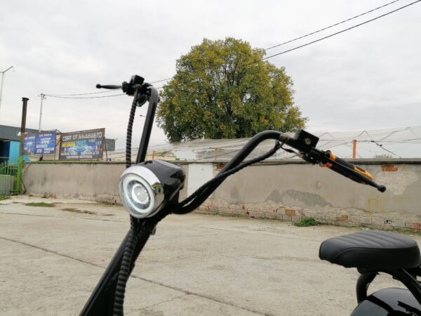 125088874 288808115709997 1938761688049801907 n.jpg