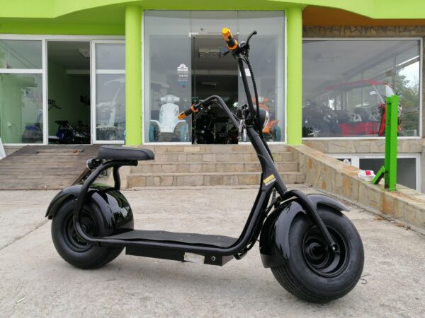 125139441 287554539193519 1927975651789638383 n.jpg