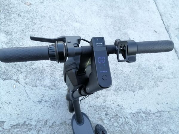 128962158 137116537913000 5375939148129940607 n.jpg