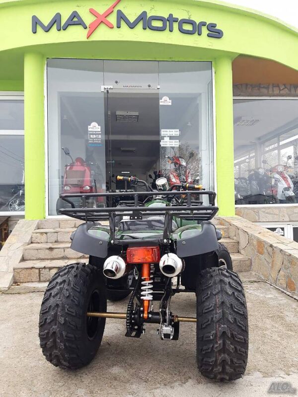 6513811 109328837 big.jpg