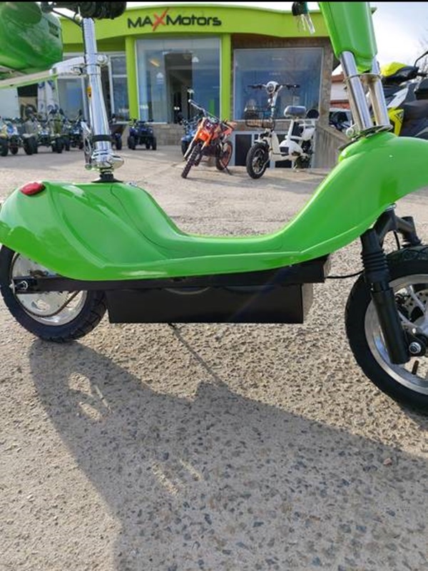 6613618 110010529 big.jpg