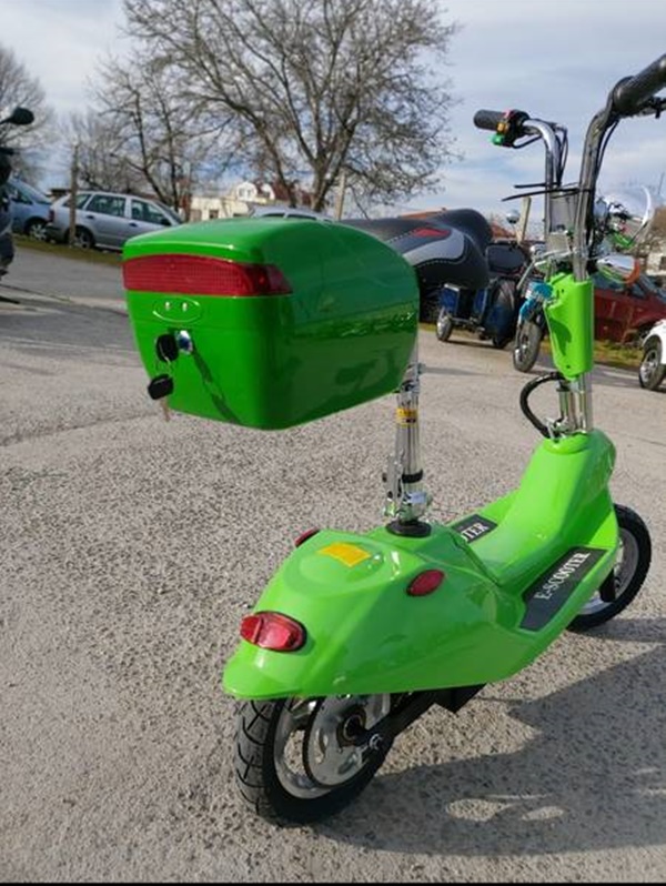 6613618 110010535 big.jpg