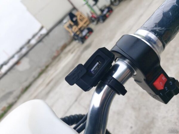 6619550 110043882 big.jpg