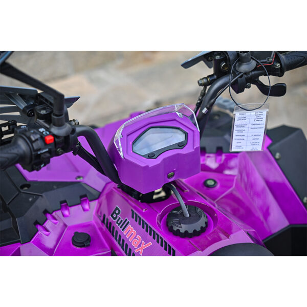 atv 150 kubika poluavtomat bullmax zigo lilavo 9.jpg