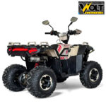 atv 150cc zigo bullmax desert storm 12.jpg