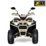 atv 150cc zigo bullmax desert storm 4.jpg