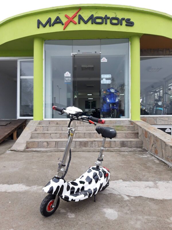 img b27222445127153e36c51476f51f9473 v.jpg