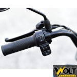 trikolka pudding logo 6.jpg