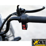 trikolka pudding logo 7.jpg